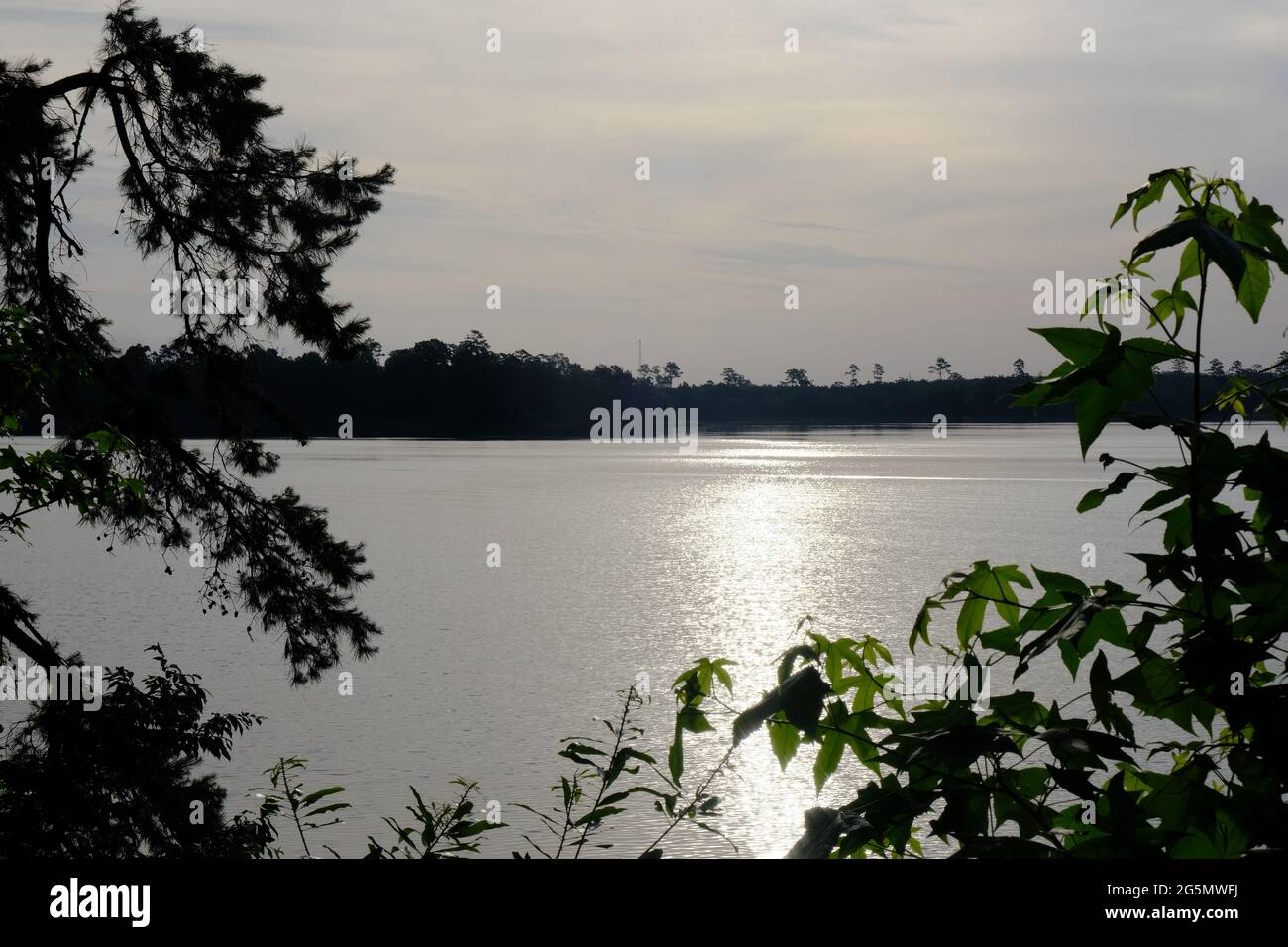 Indian Creek Lake Louisiana Sunset Stock Photo Alamy