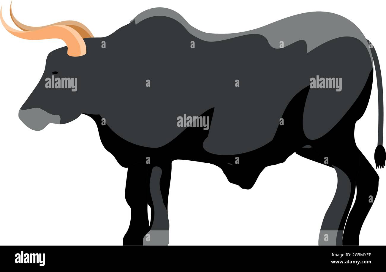 bull with long horns Stock Vector