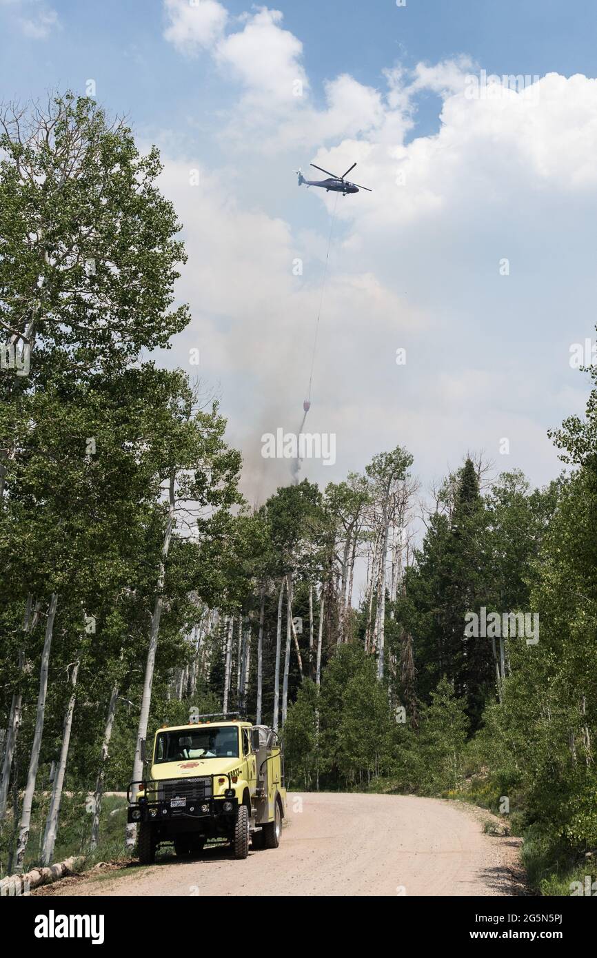 A Sikorsky CH-60 Blackhawk firefighting helicopter drops water from a helibucket on a forest fire in the La Sal Mountains in Utah.  A water tender fir Stock Photo