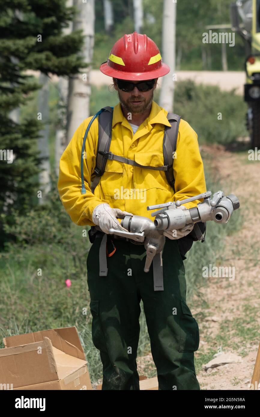 A firefighter assembles gated y connectors fo connect multiple fire hoses to fight a forest fire in the La Sal Mountains of Utah. Stock Photo
