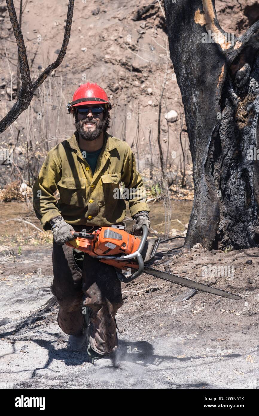 Wildland fire fighter chainsaw hires stock photography and images Alamy