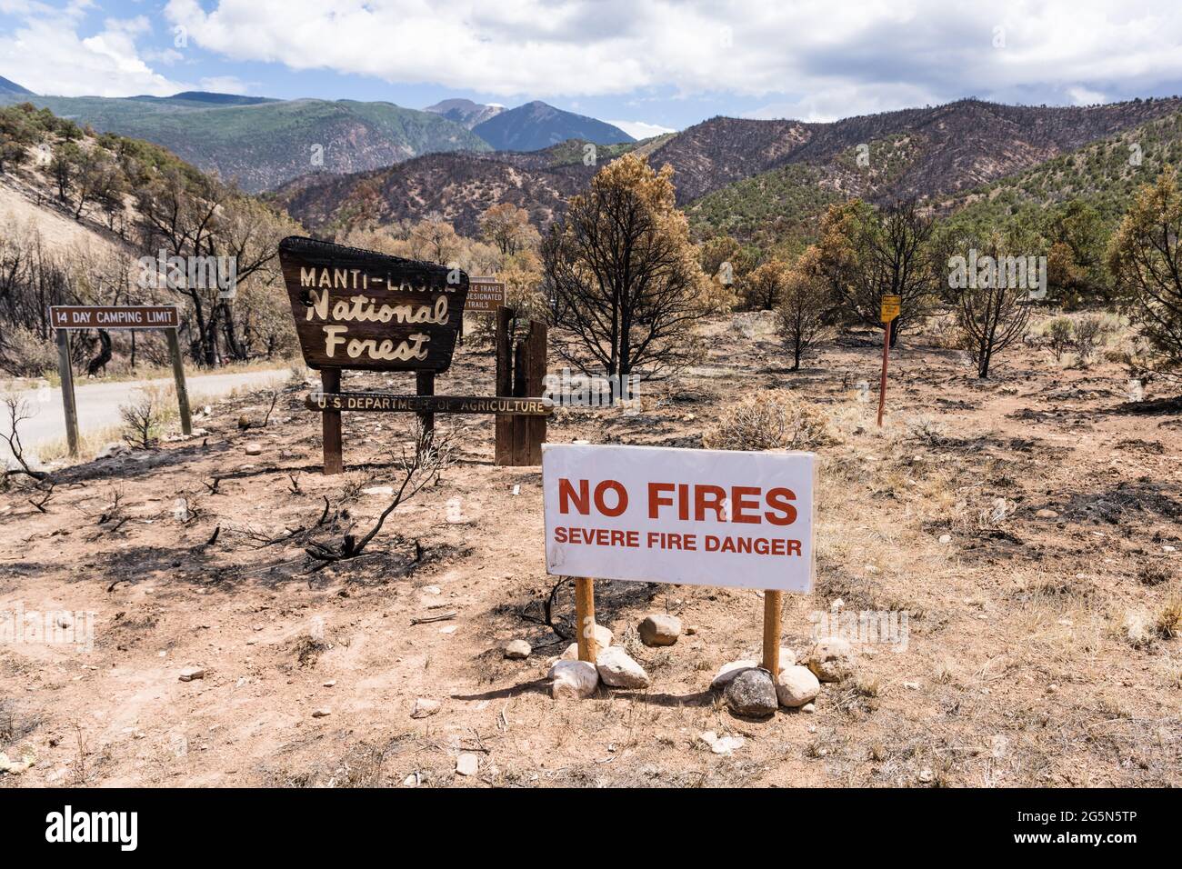 The Manti-La Sal National Forest sign, burned in the Pack Creek Fire, a human-caused fire in Pack Creek Canyon, Utah.  Behind is an extensive area bur Stock Photo