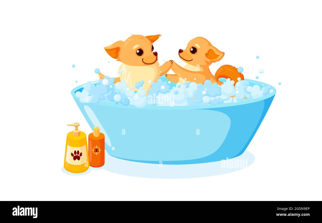 Dog grooming in a bathtub with shampoo. Chihuahua in soap foam isolated in white background. Vector illustration in cute cartoon style Stock Vector