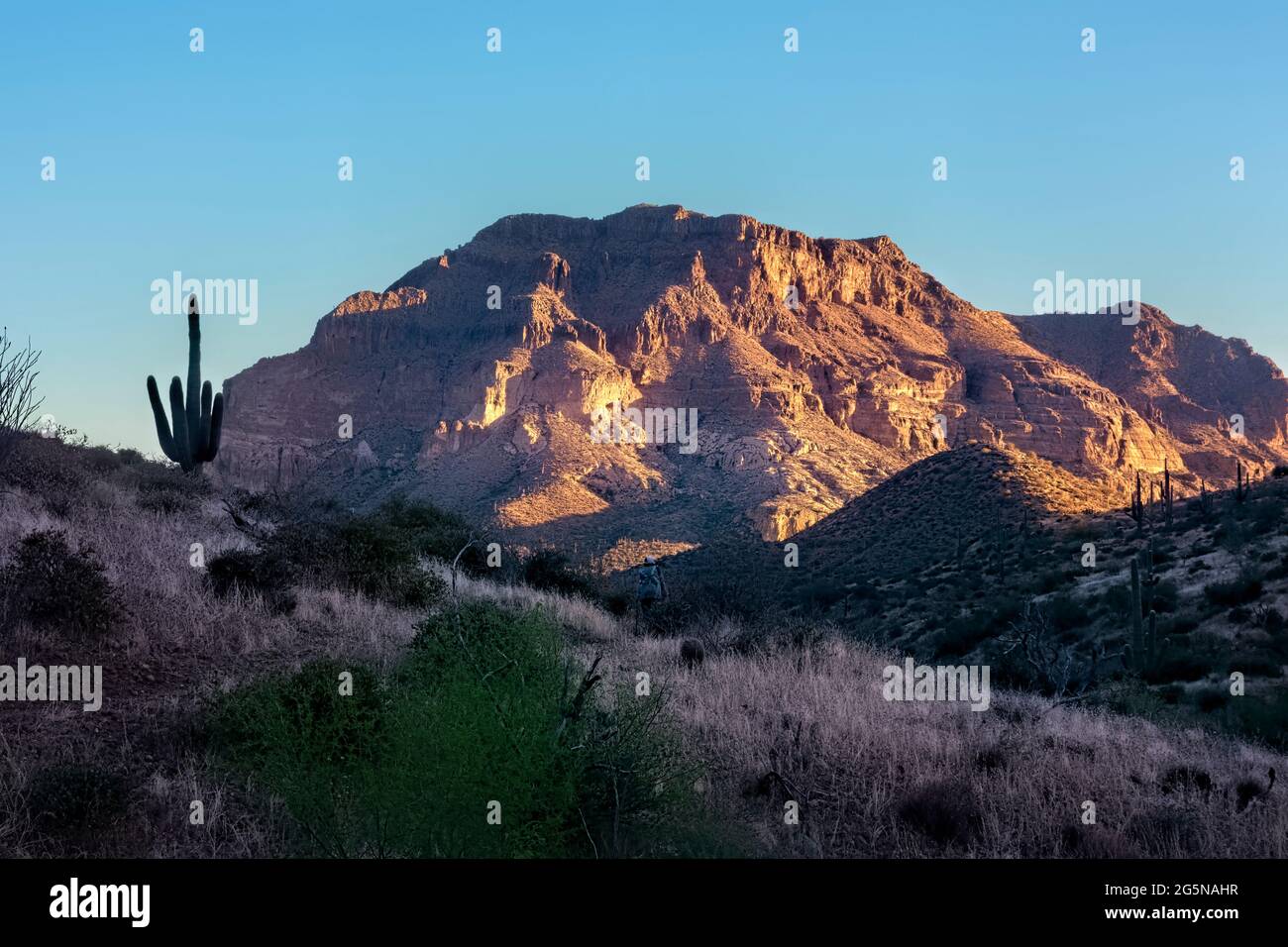 Picketpost Mountain at sunrise from the Arizona Trail, Superior, Arizona, U.S.A Stock Photo Alamy