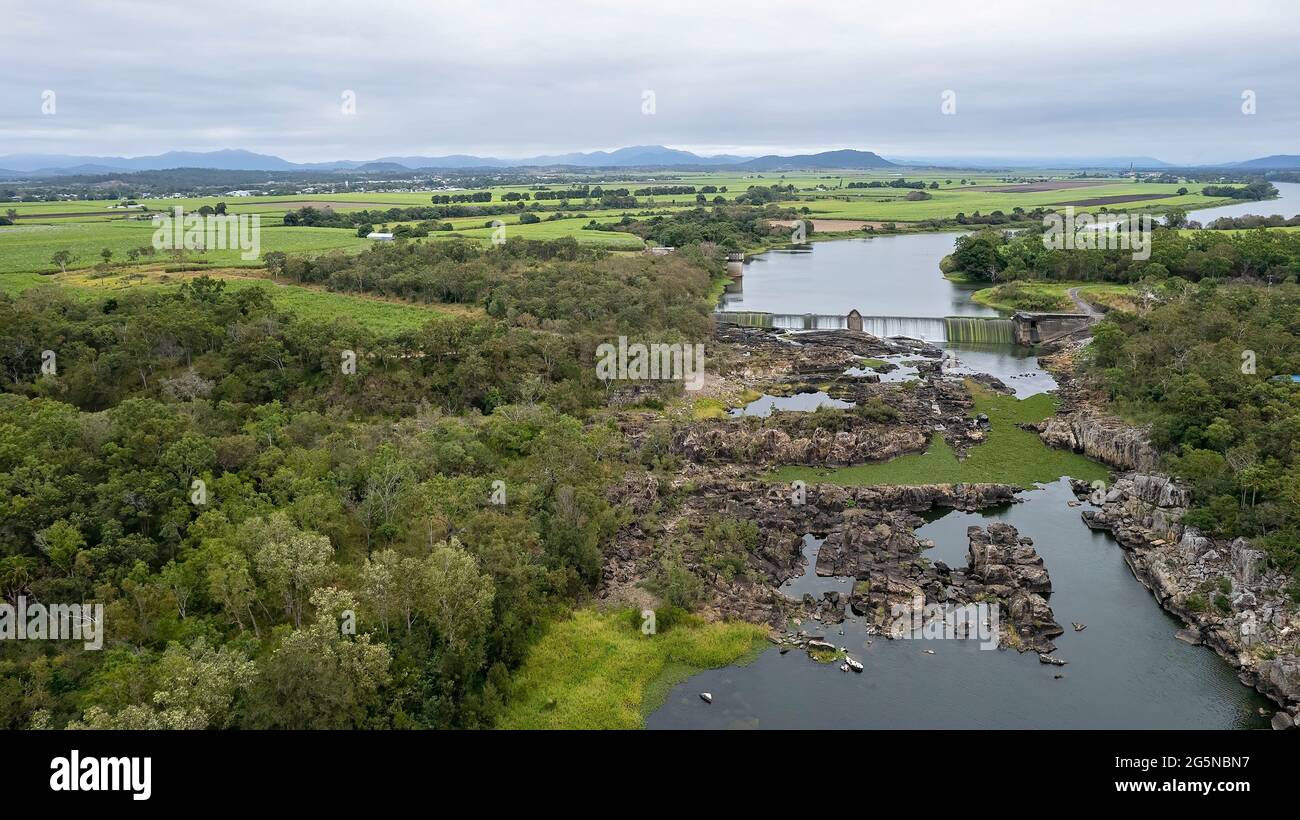 Environmental weeds australia hi-res stock photography and images - Alamy