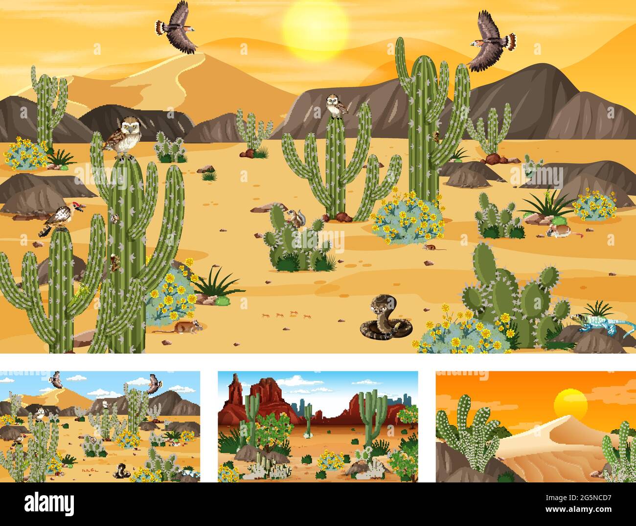 Desert Habitat Animals And Plants