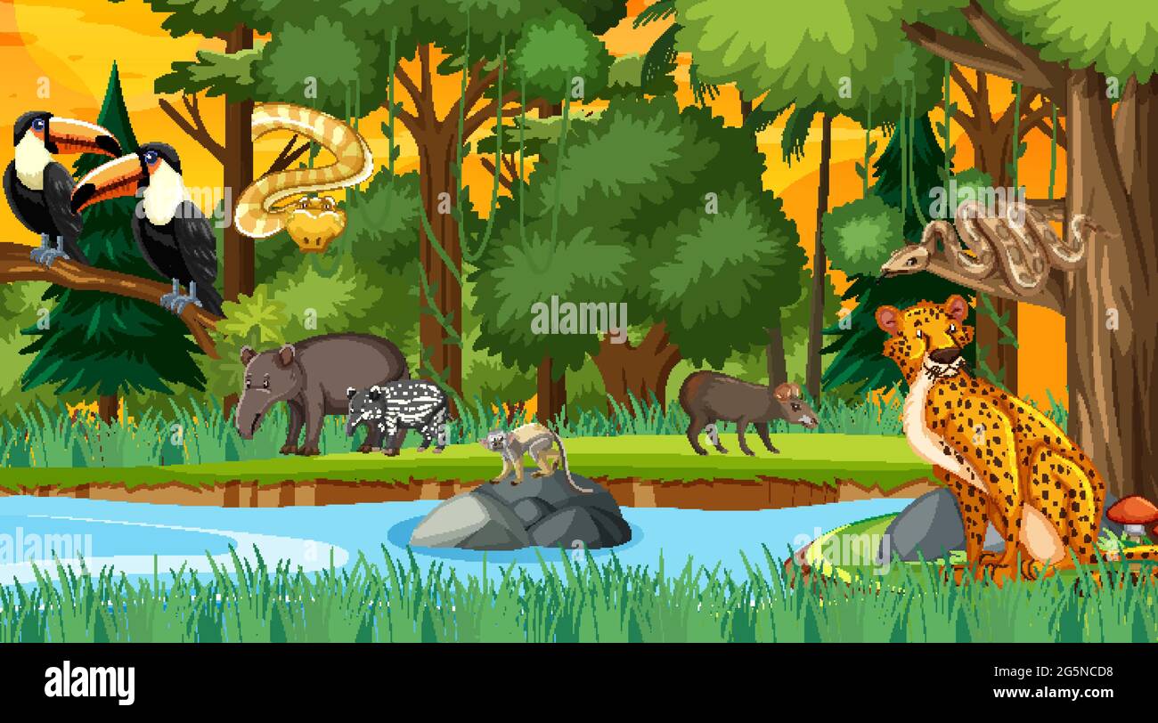 Forest at sunset time scene with different wild animals illustration ...