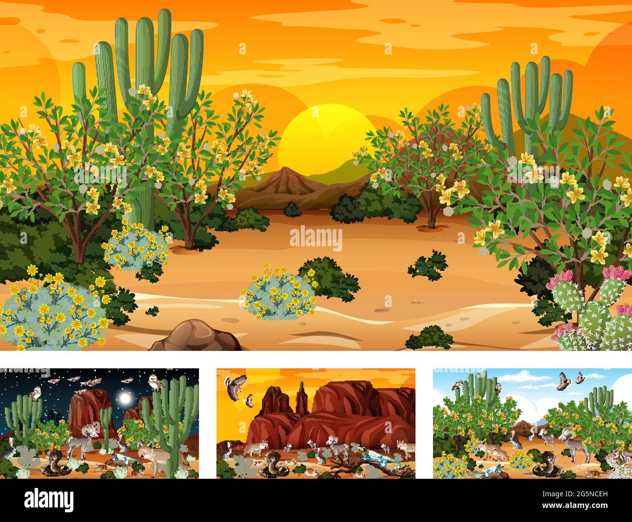 desert ecosystems for kids