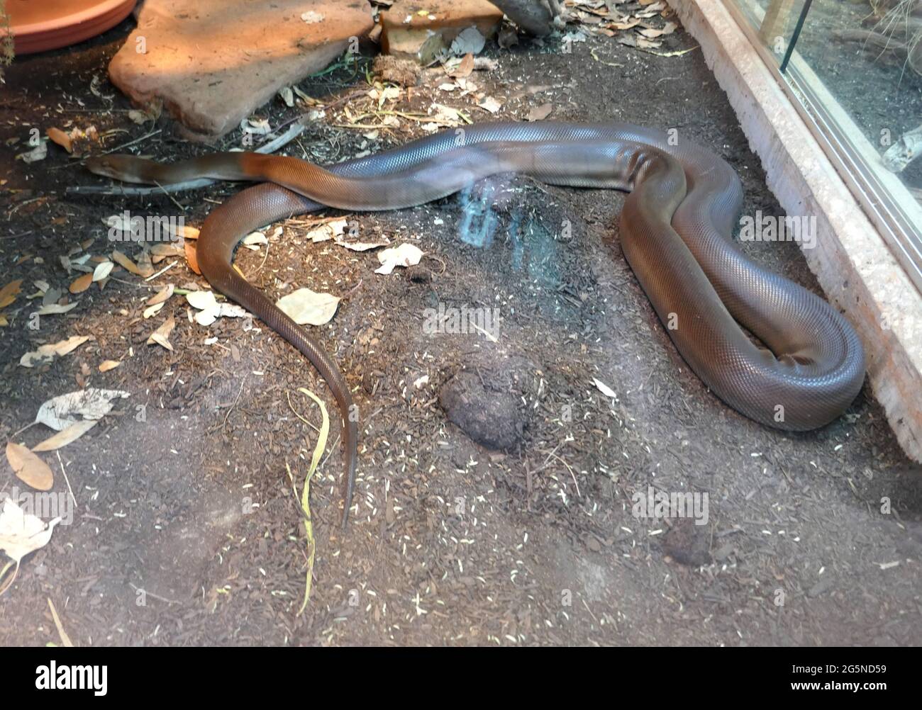 Palm Desert, California, USA 24th June 2021 A general view of ...