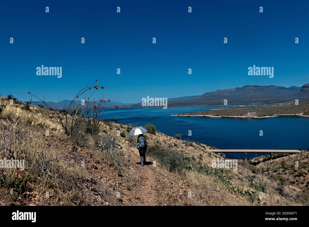 View of Roosevelt Lake from the Arizona Trail, Roosevelt, Arizona, U.S