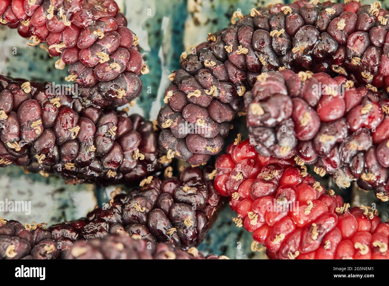 Afghan mulberry black and red lying on plate, close-up. Stock Photo