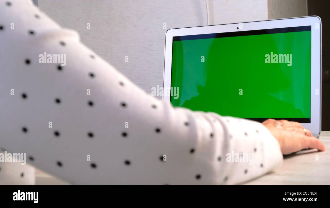 Middle aged woman uses laptop with chroma key screen, copy space. Concept for online shopping, education, work. Stock Photo