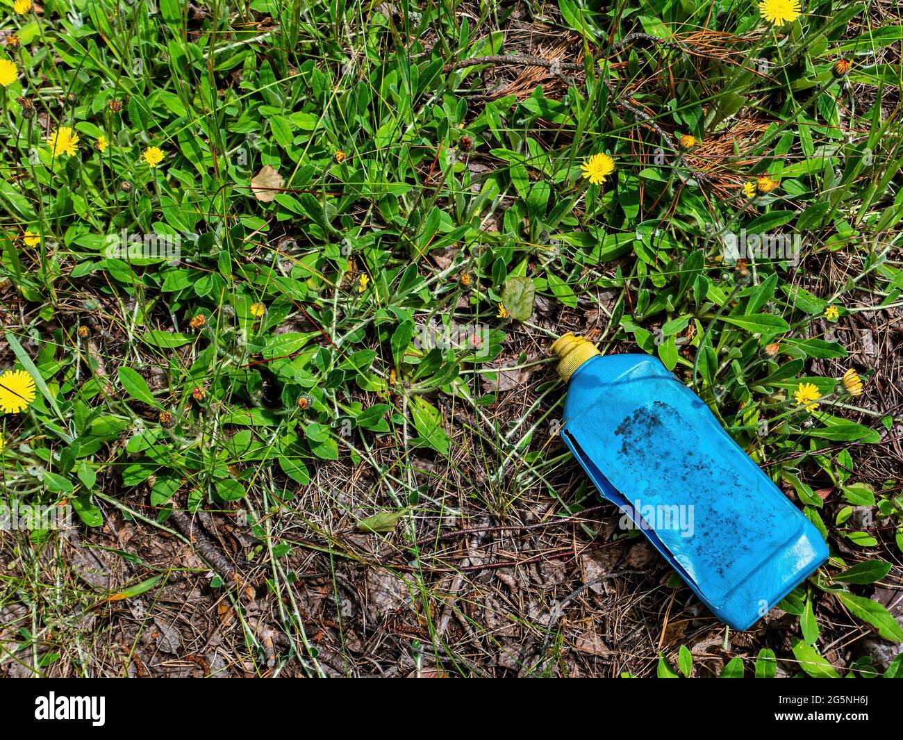 A blue plastic canister in a junkyard in the green grass. Container for