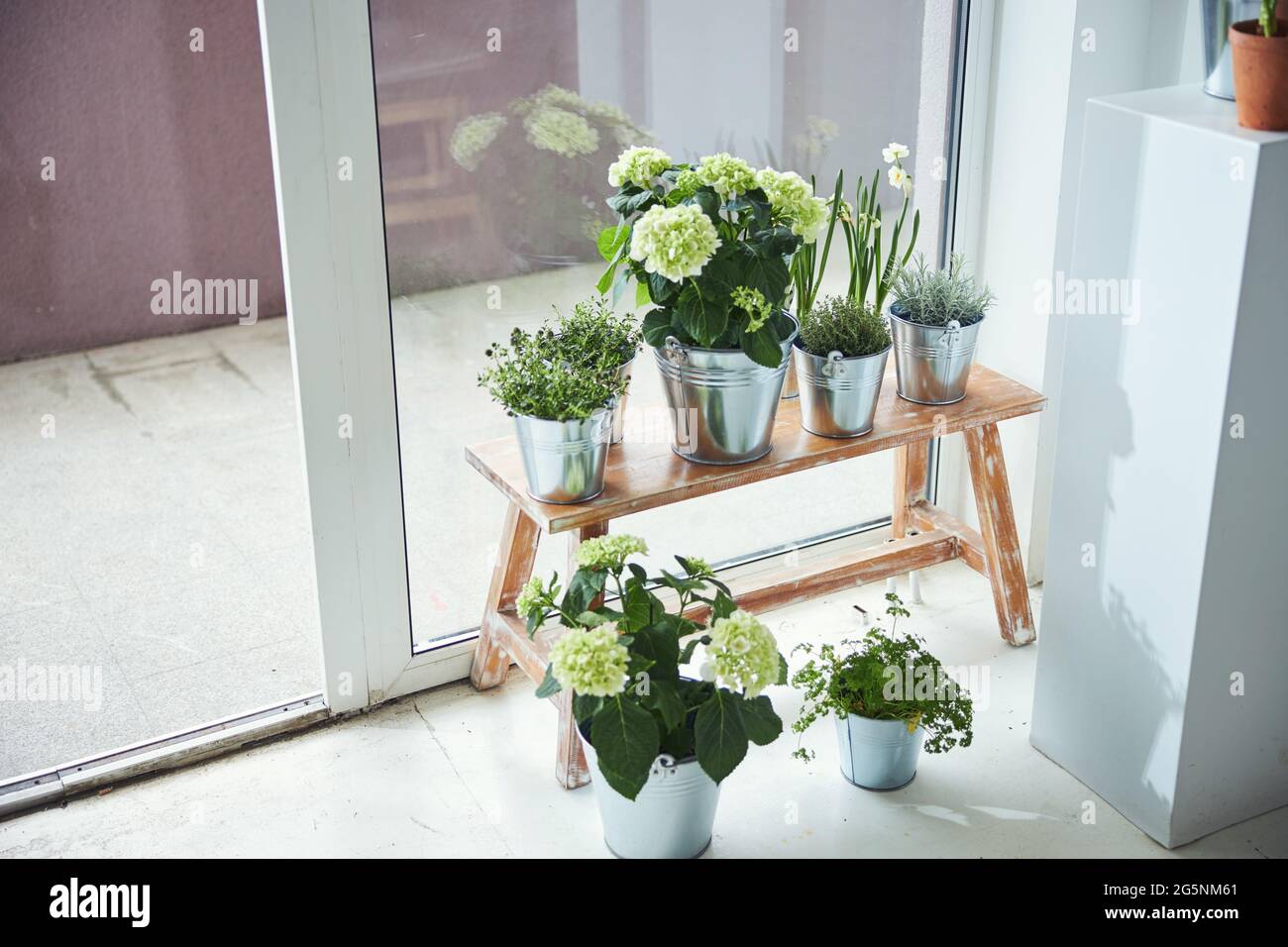 Ornamental plants and culinary herbs growing in galvanized metal