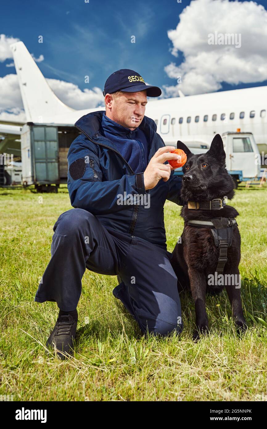 Male security officer training detection dog in airfield Stock Photo