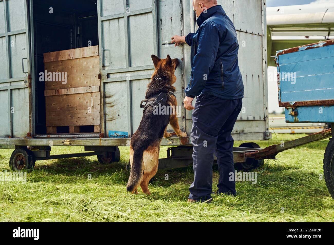 Security officer and drug detection dog checking cargo at aerodrome
