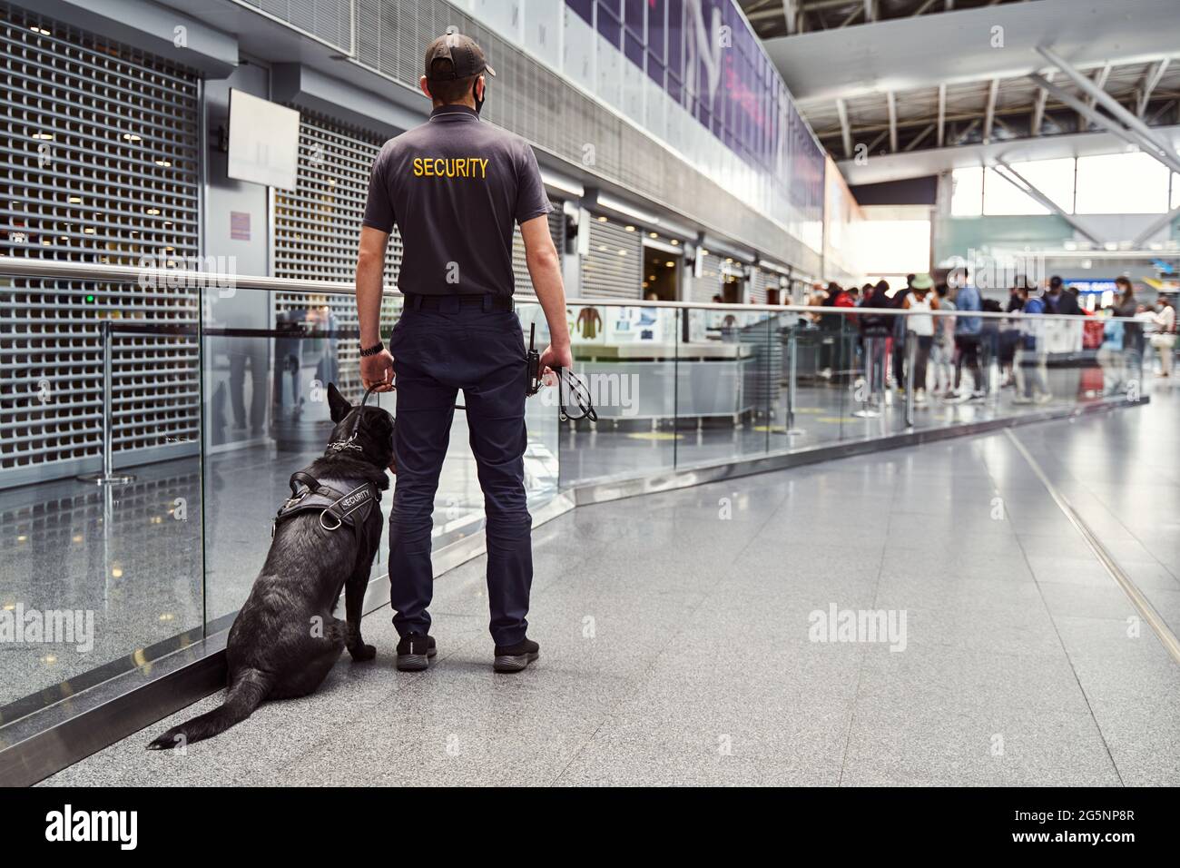 Security worker with detection dog patrolling airport terminal Stock