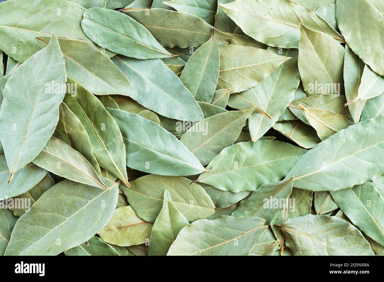 Green dried bay leaves or laurel background top view Stock Photo Alamy