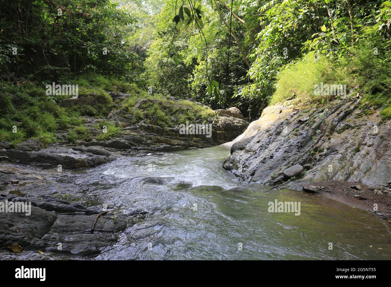 Tropical scene vector hi-res stock photography and images - Alamy