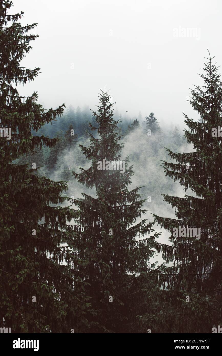 Misty mountain landscape Stock Photo - Alamy