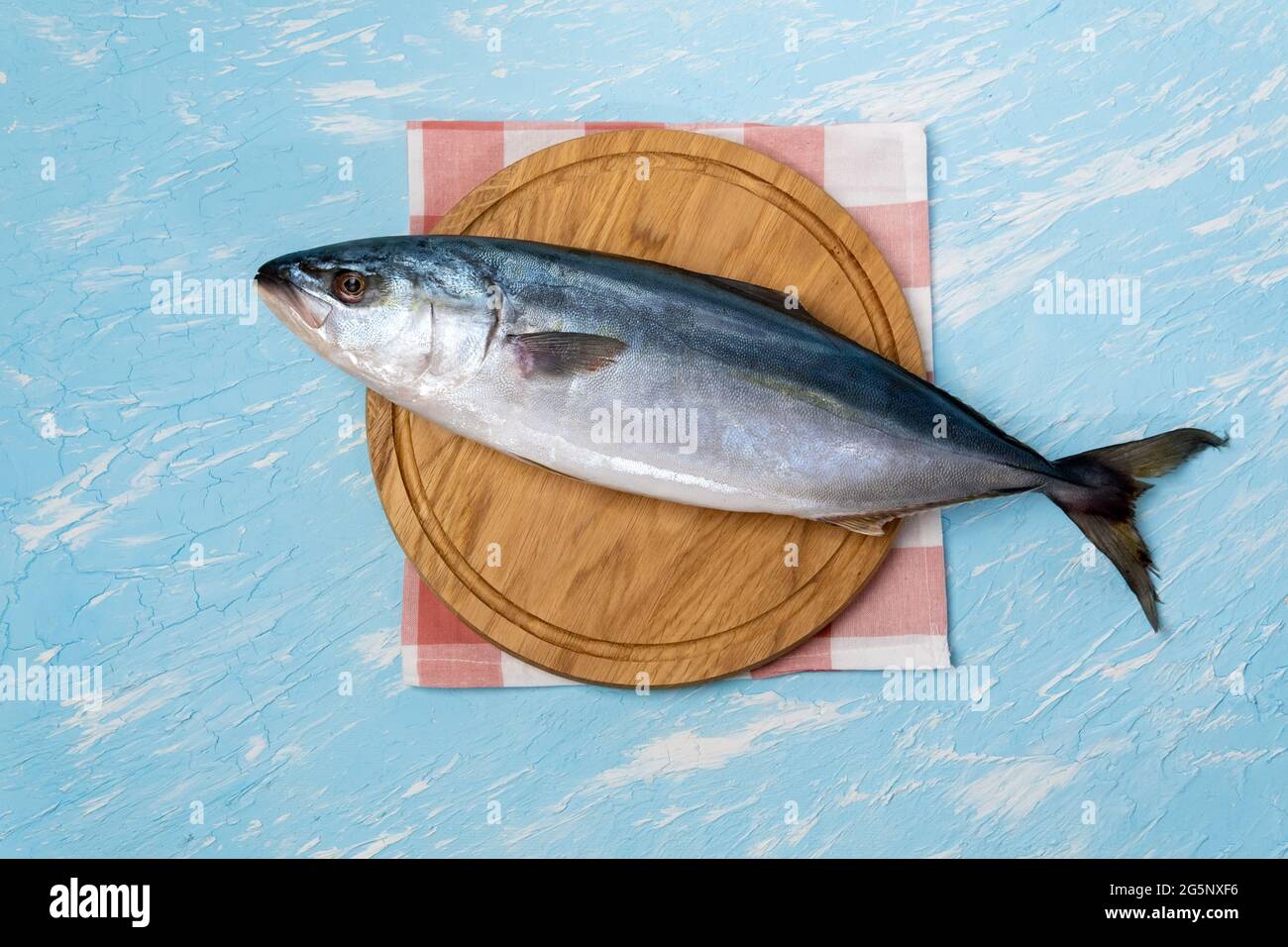 yellow tailed lacedra is a species of sea ray finned fish in the family Carangidae. on a blue background Stock Photo