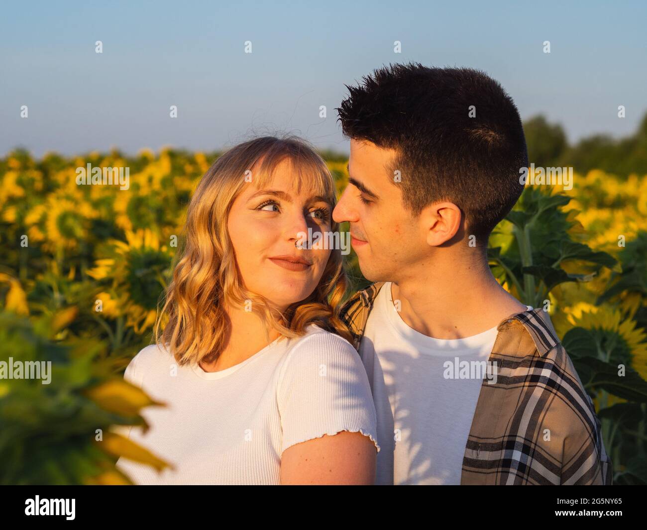 Portrait of a young cute couple in a sunflower field Stock Photo - Alamy