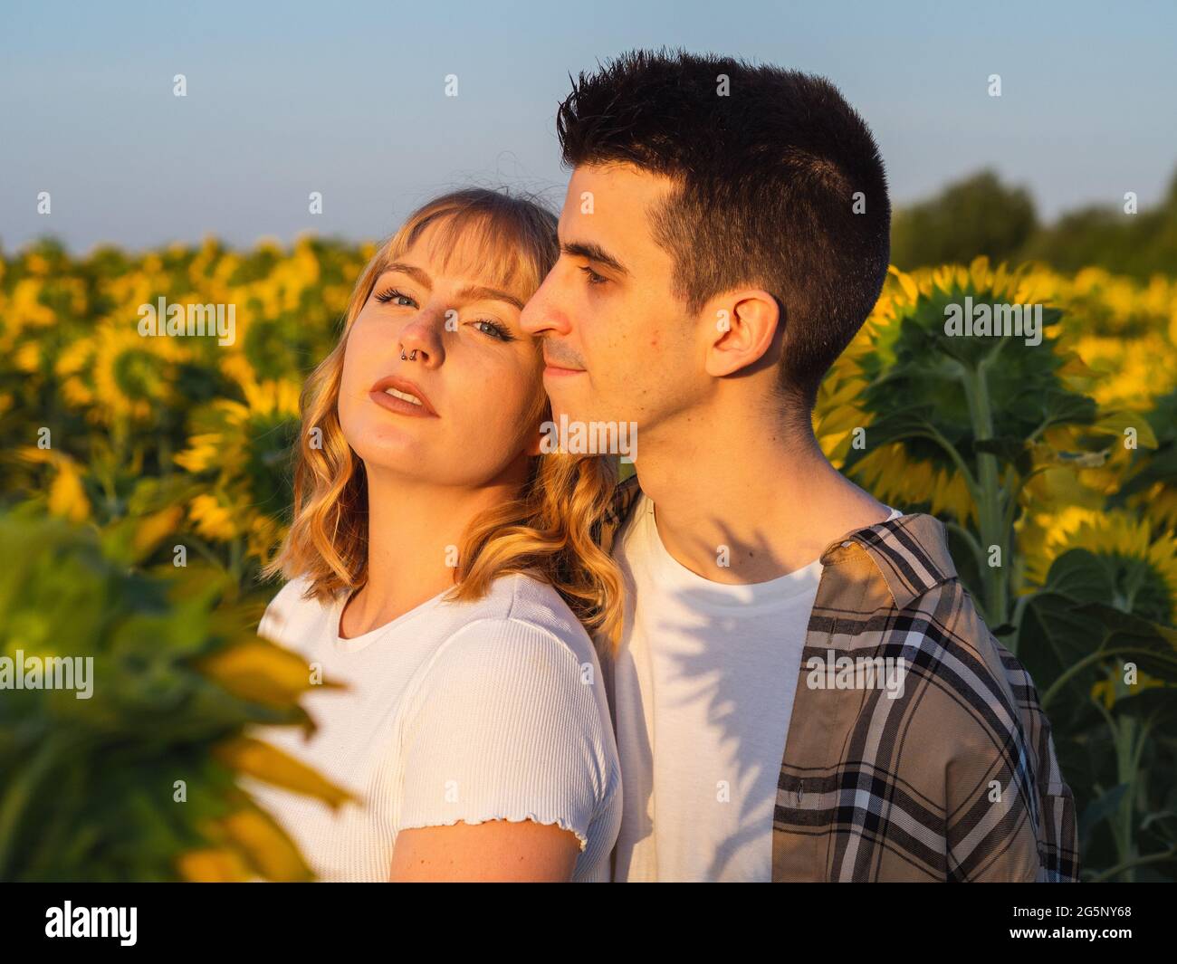 Portrait of a young cute couple in a sunflower field Stock Photo - Alamy