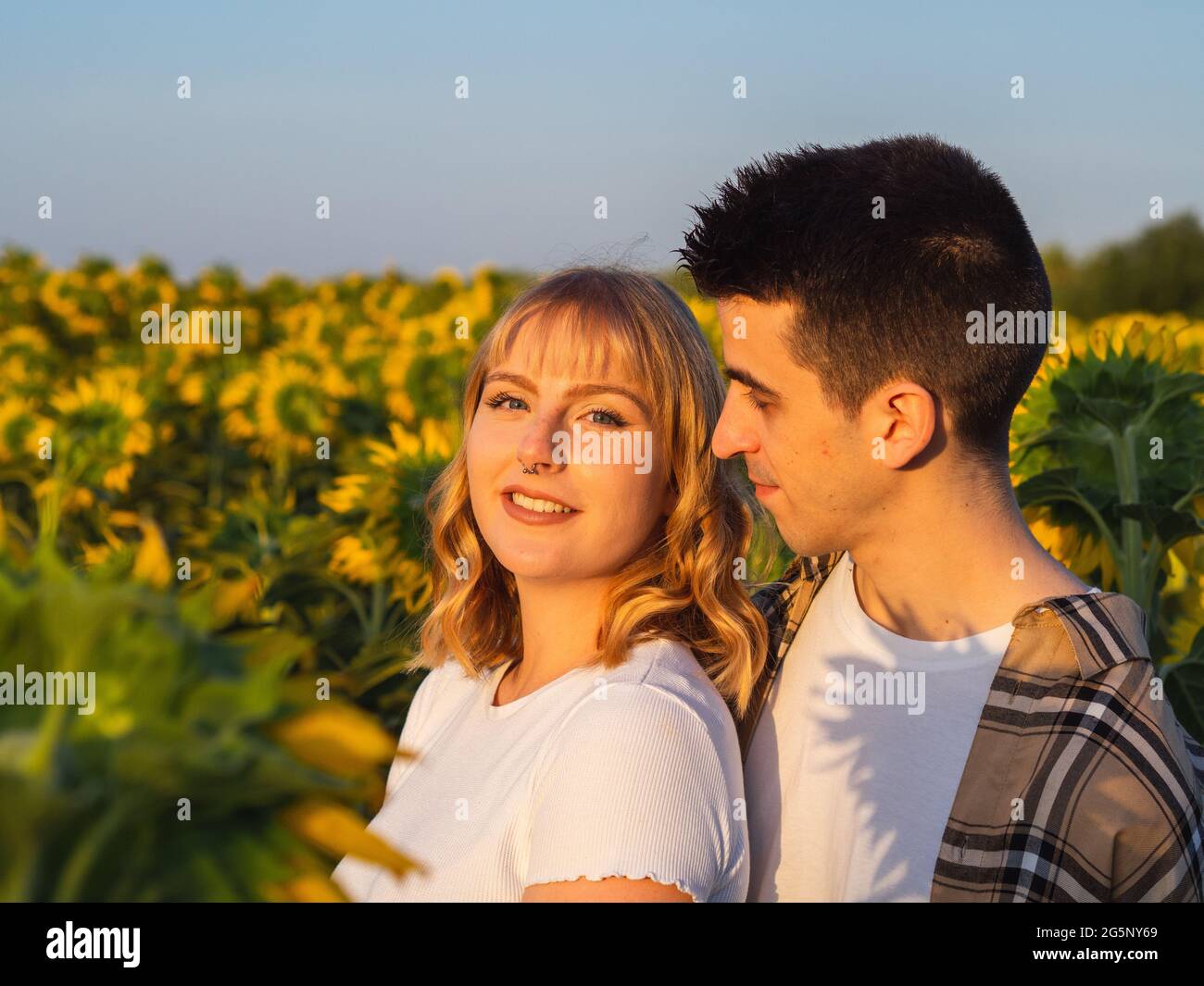 Portrait of a young cute couple in a sunflower field Stock Photo - Alamy