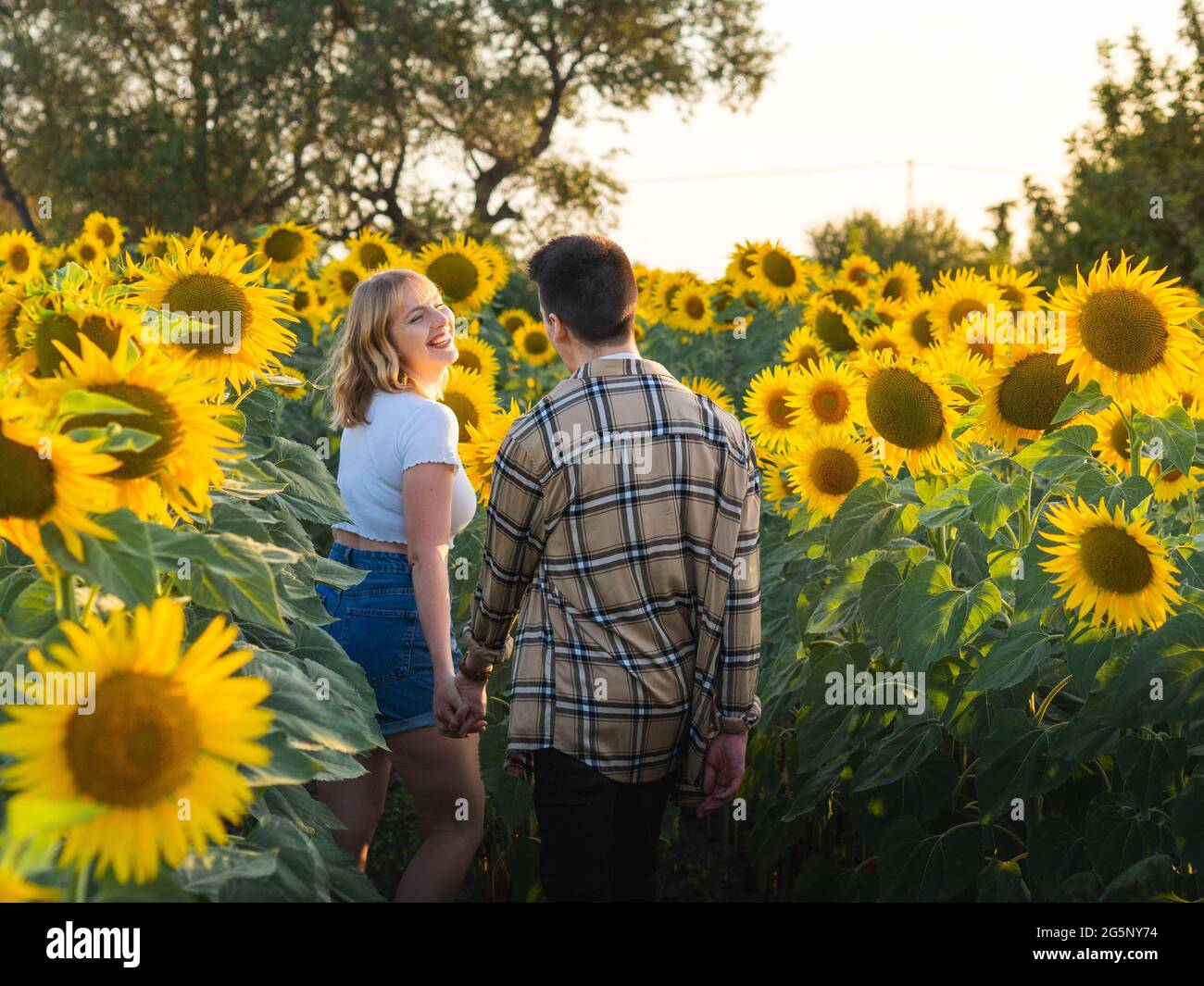 Portrait of a young cute couple in a sunflower field Stock Photo - Alamy