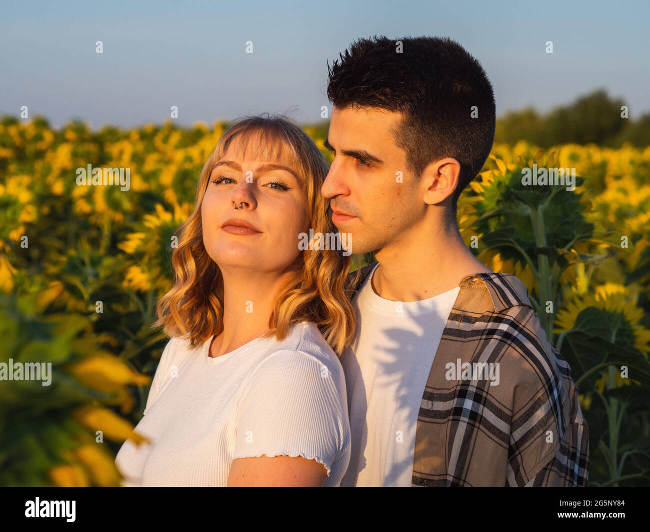 Portrait of a young cute couple in a sunflower field Stock Photo - Alamy
