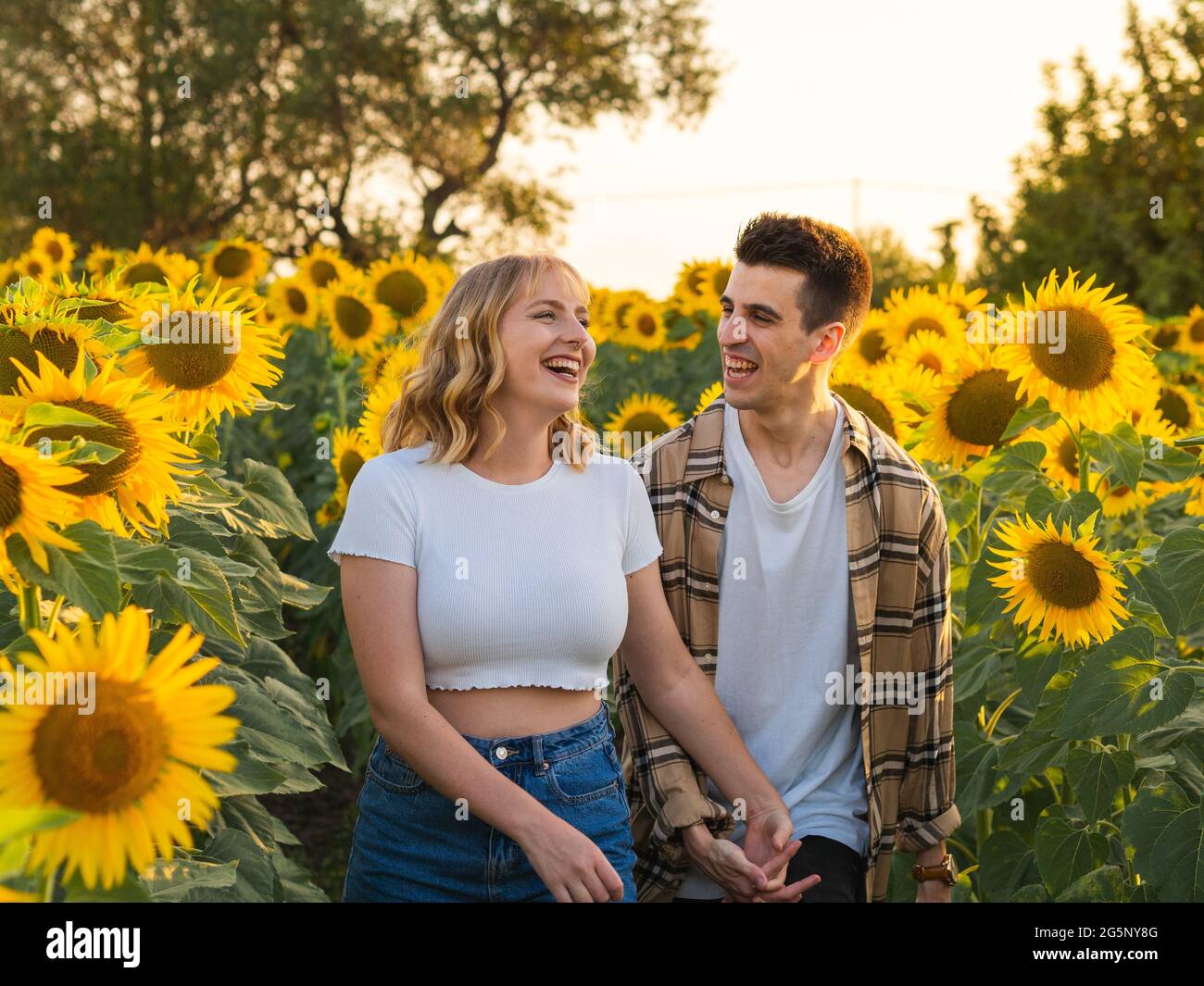 Portrait of a young cute couple in a sunflower field Stock Photo - Alamy