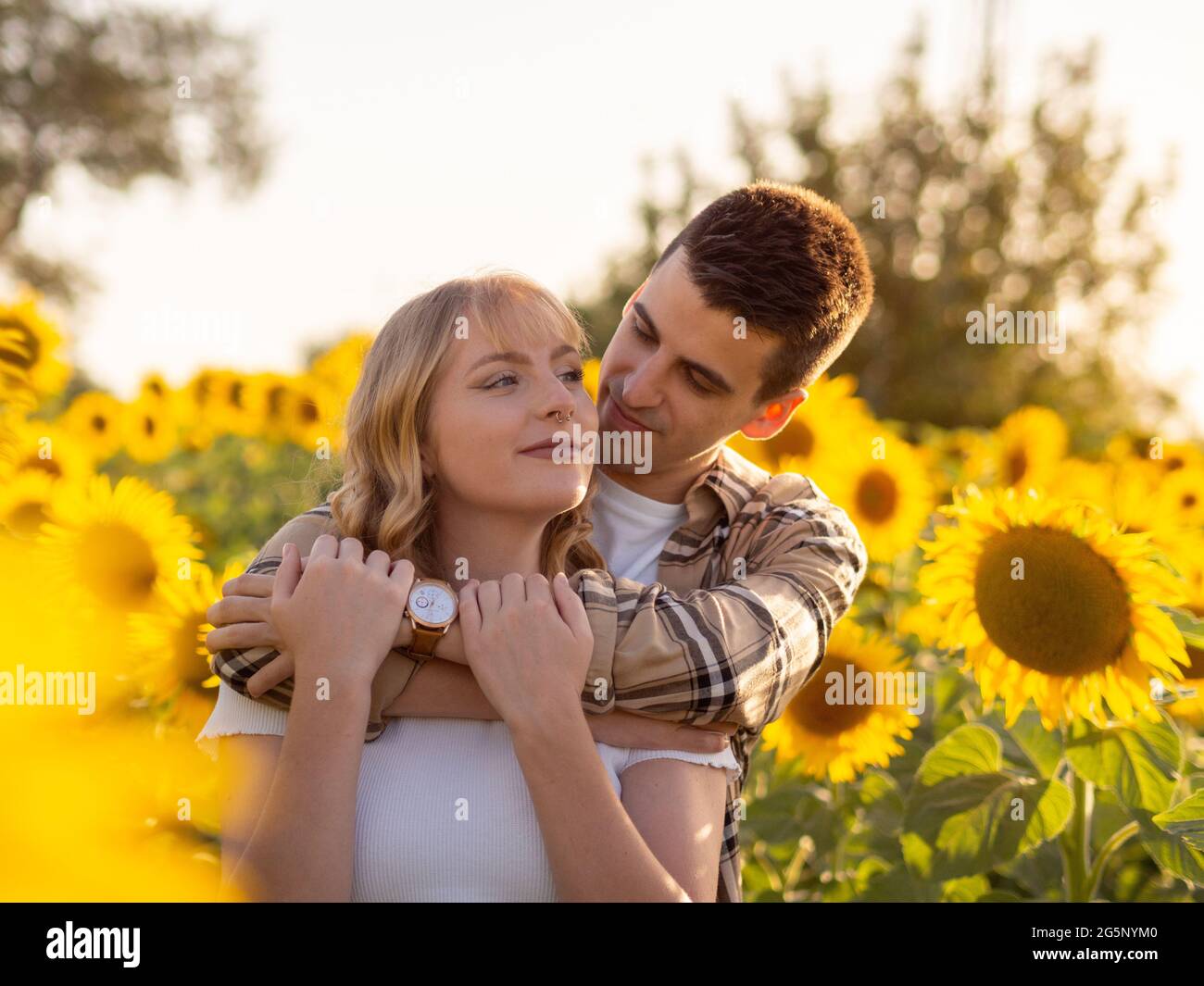 Portrait of a young cute couple in a sunflower field Stock Photo - Alamy