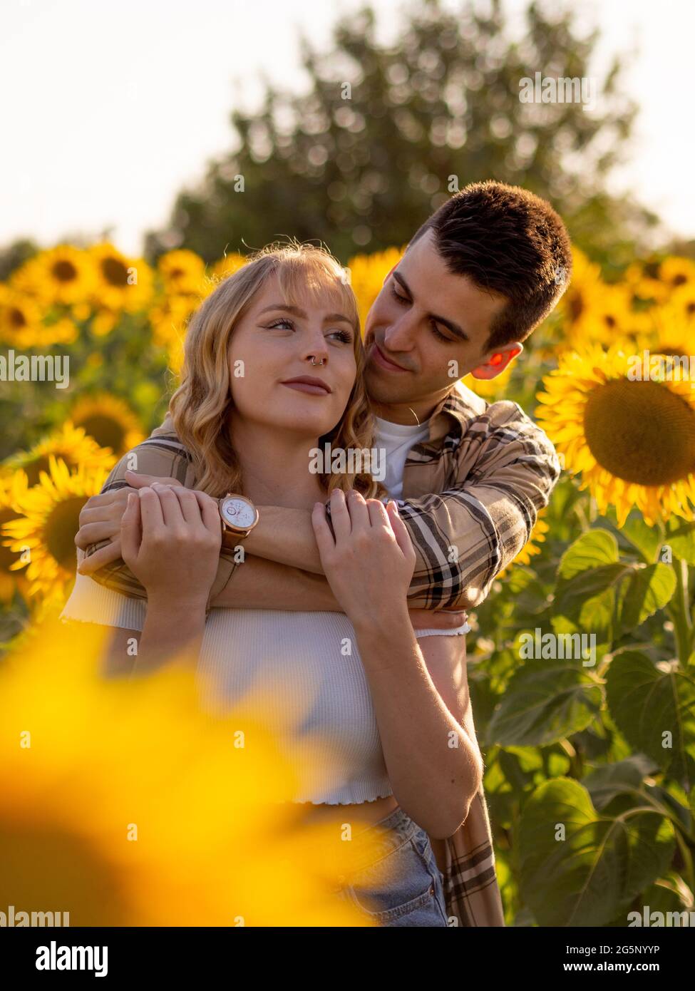 Portrait of a young cute couple in a sunflower field Stock Photo - Alamy