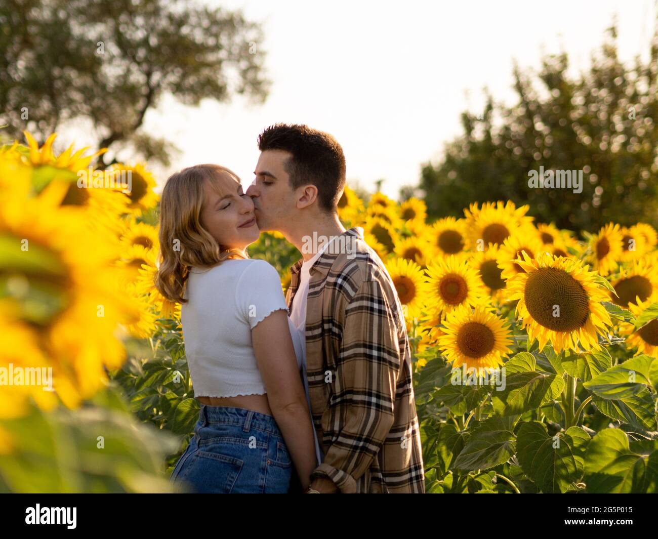 Portrait of a young cute couple in a sunflower field Stock Photo - Alamy
