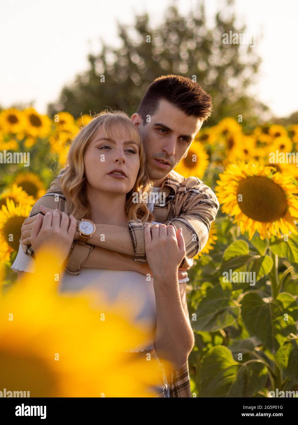 Portrait of a young cute couple in a sunflower field Stock Photo - Alamy