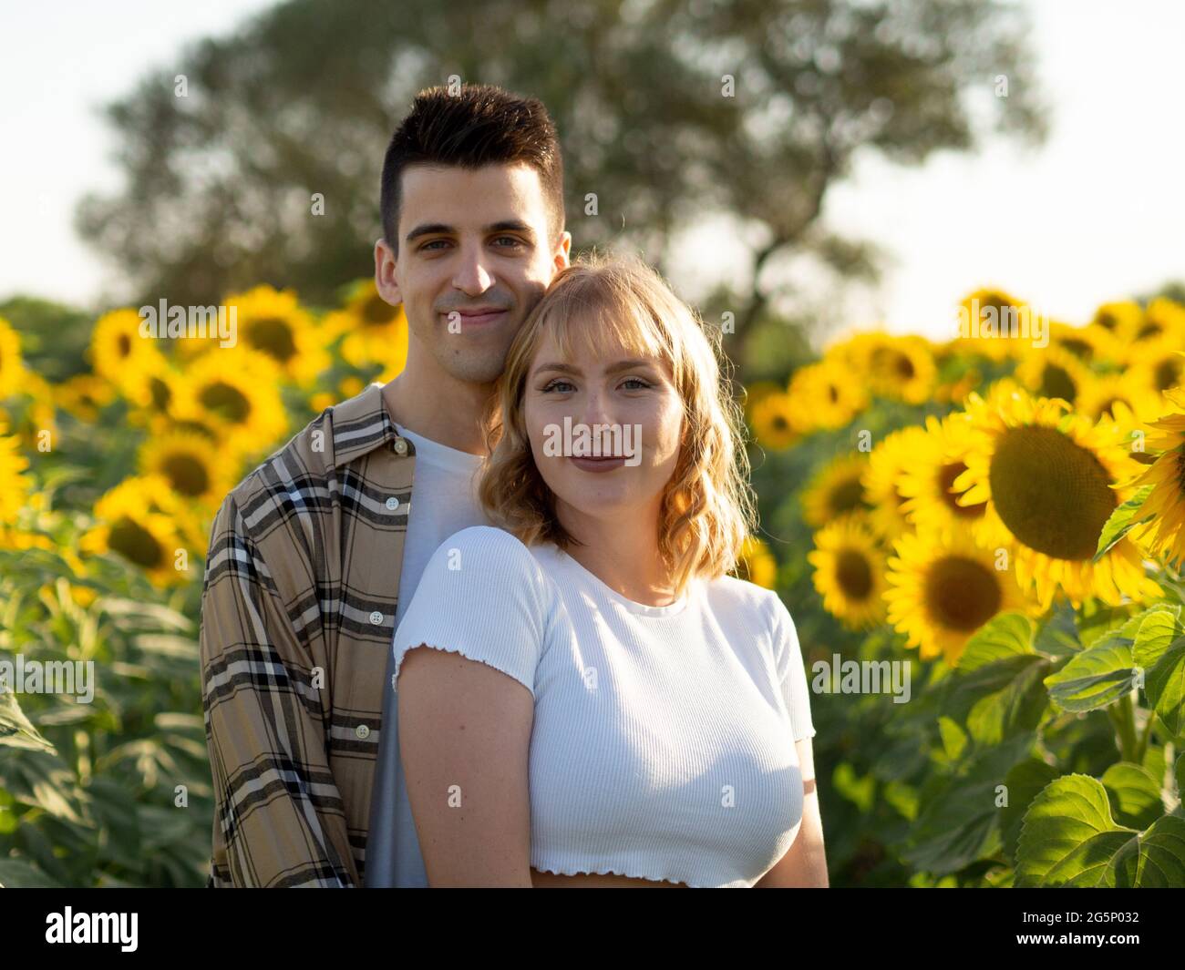 Portrait of a young cute couple in a sunflower field Stock Photo - Alamy