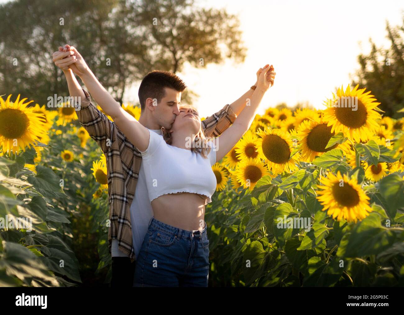Portrait of a young cute couple in a sunflower field Stock Photo - Alamy