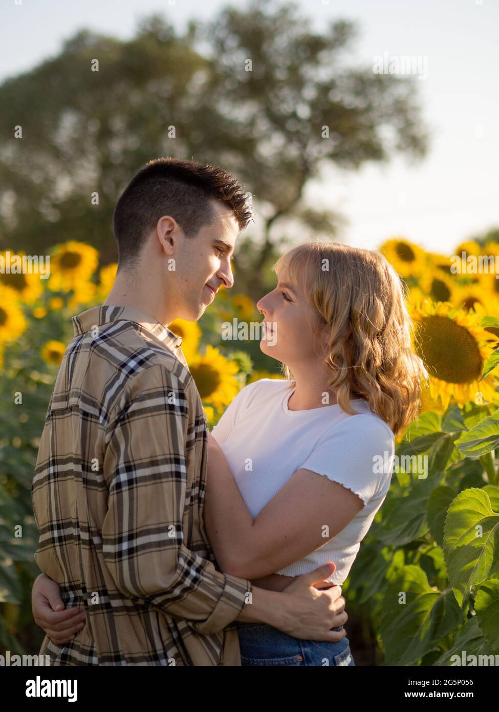 Portrait of a young couple in a sunflower field Stock Photo - Alamy