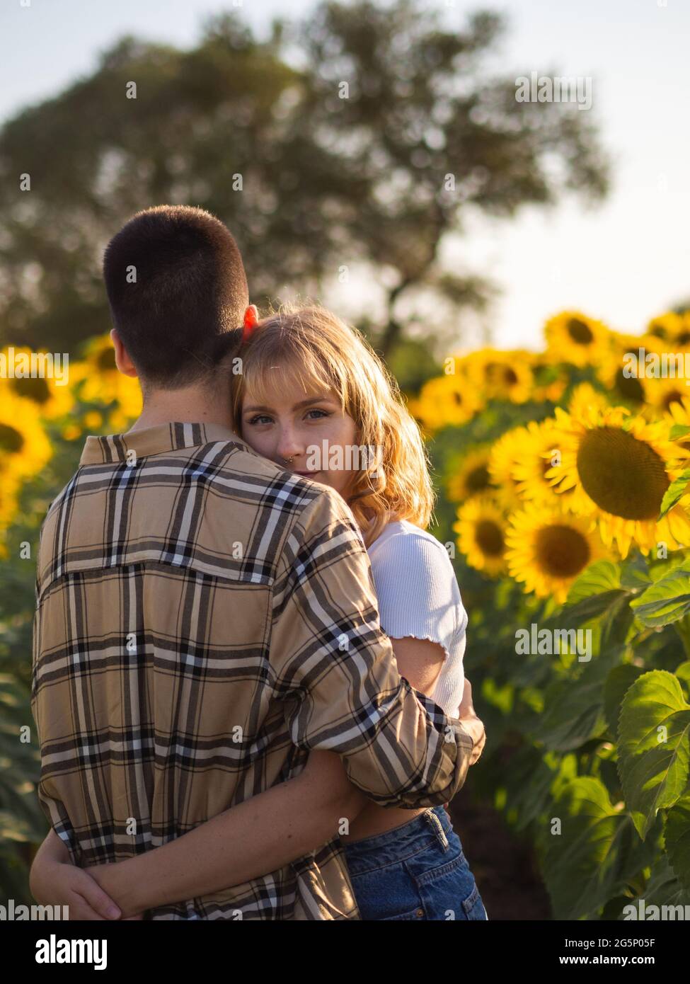 Portrait of a young couple in a sunflower field Stock Photo - Alamy