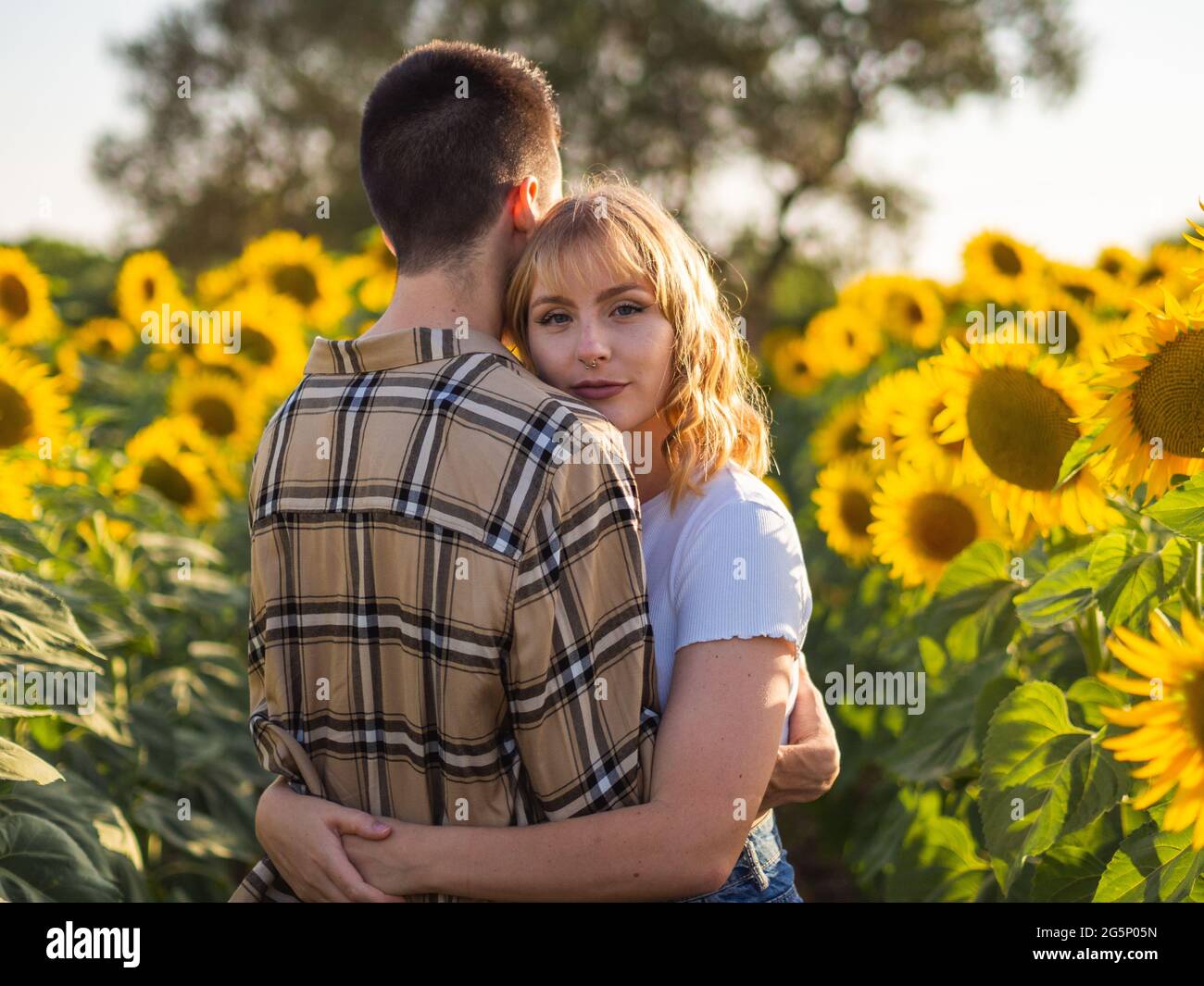 Portrait of a young couple in a sunflower field Stock Photo - Alamy