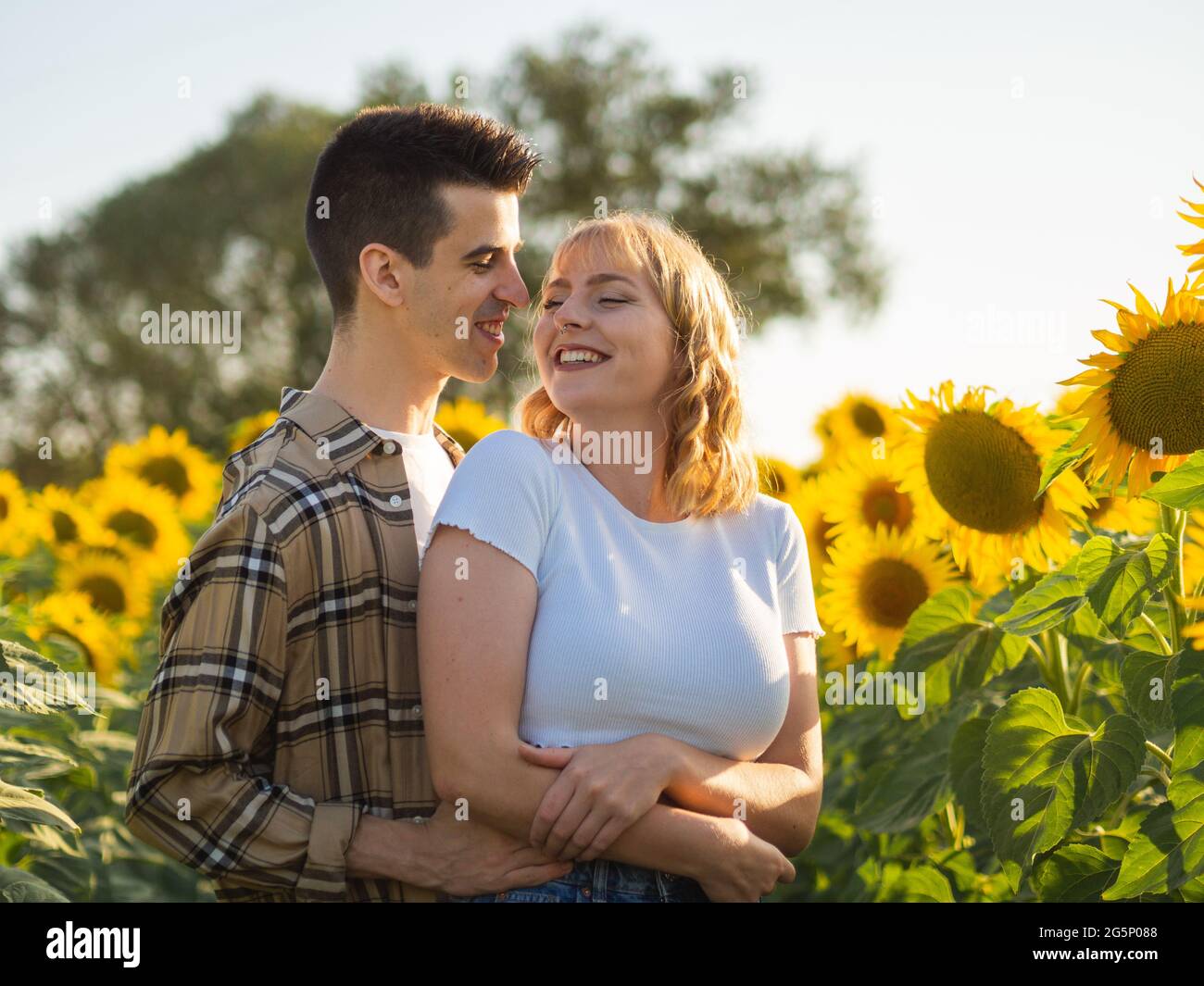 Portrait of a young cute smiling couple in a sunflower field Stock ...