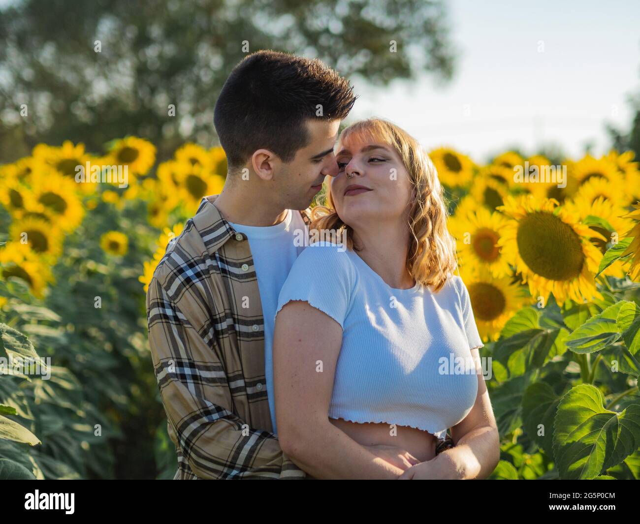 Portrait of a young cute couple in a sunflower field Stock Photo - Alamy