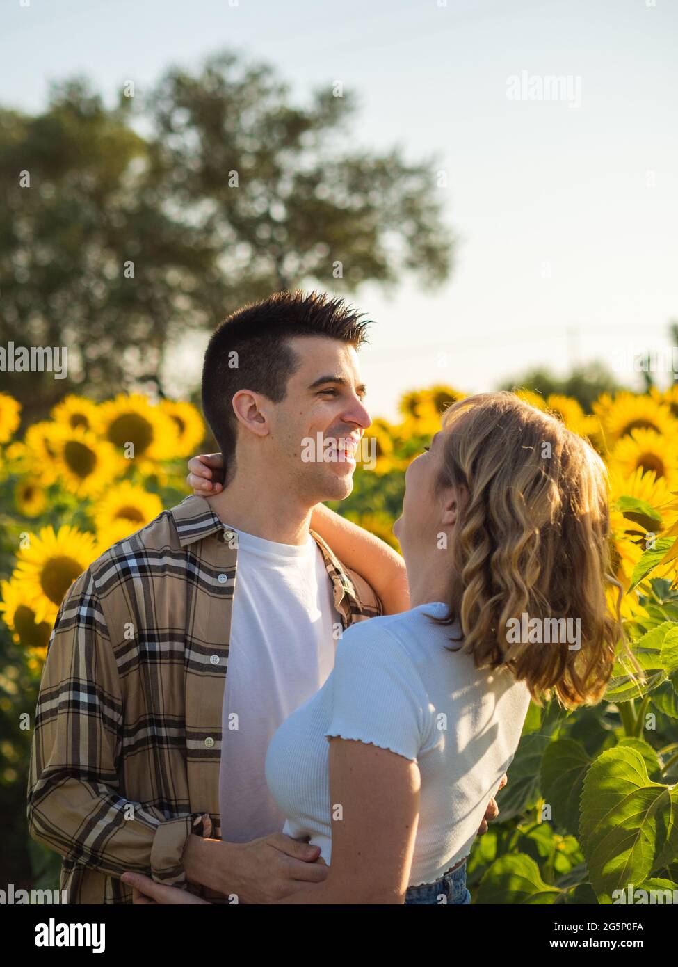 Portrait of a young couple in a sunflower field Stock Photo - Alamy