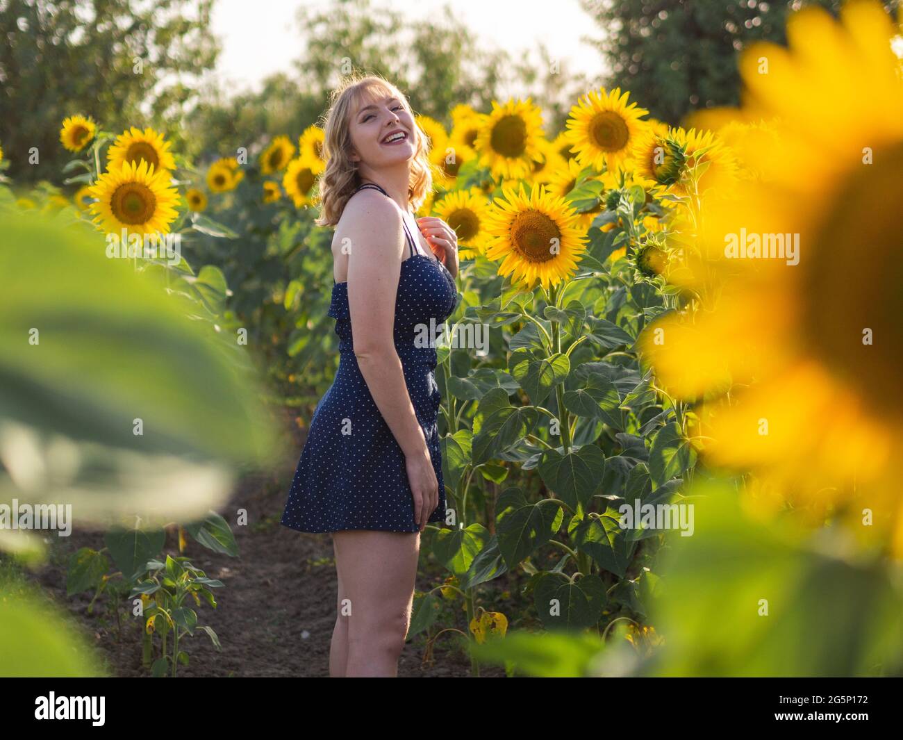 Beautiful young smiling female posing in a sunflower field Stock Photo ...