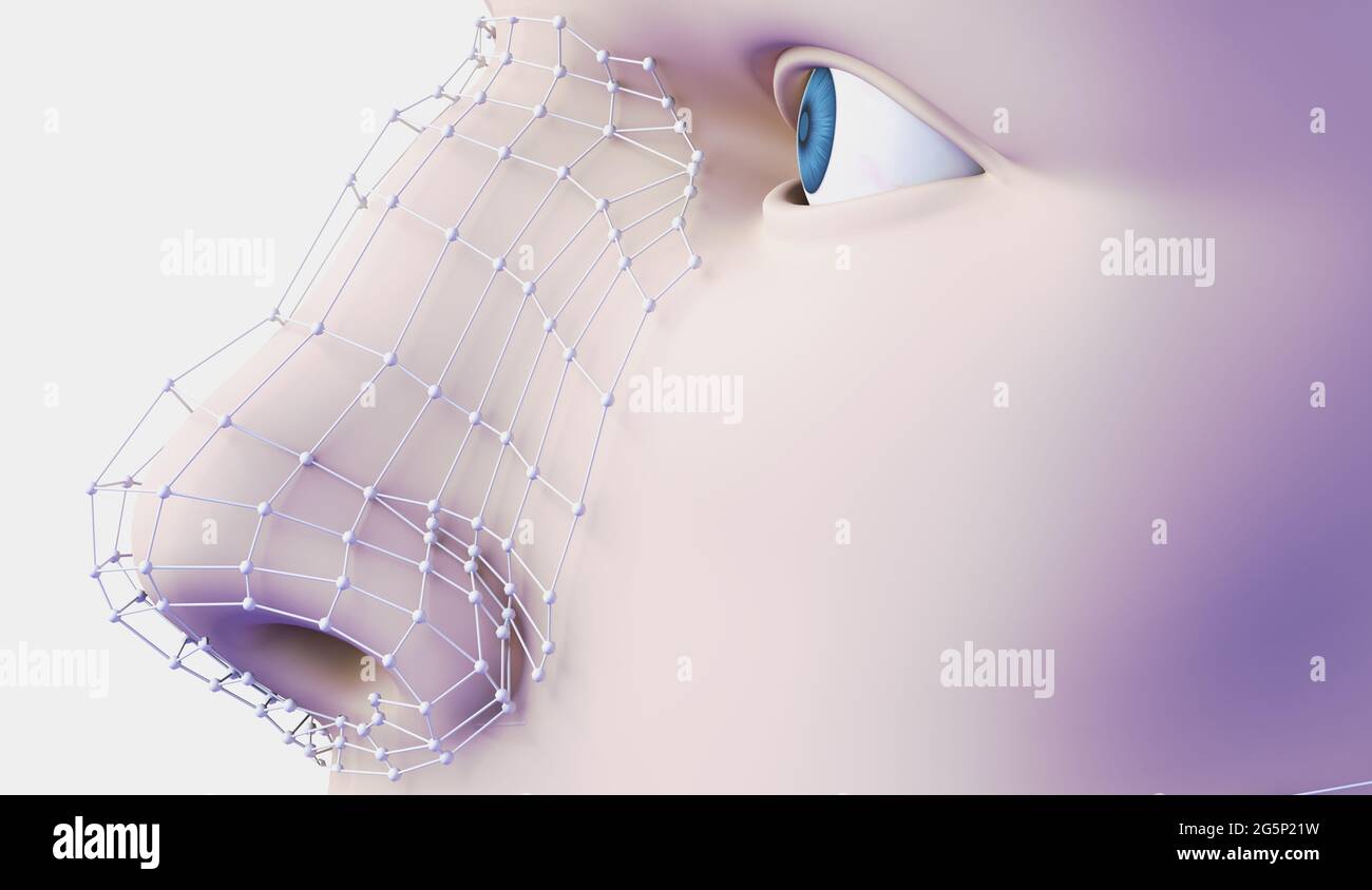3d illustration of plastic surgery. Mesh and lines in the skin and procedure to eliminate wrinkles and nose esthetic defects Stock Photo