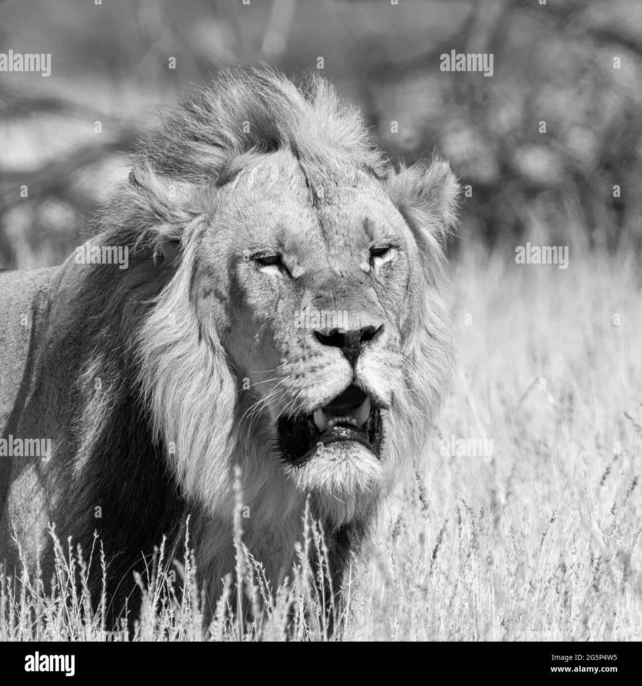 My Image 9