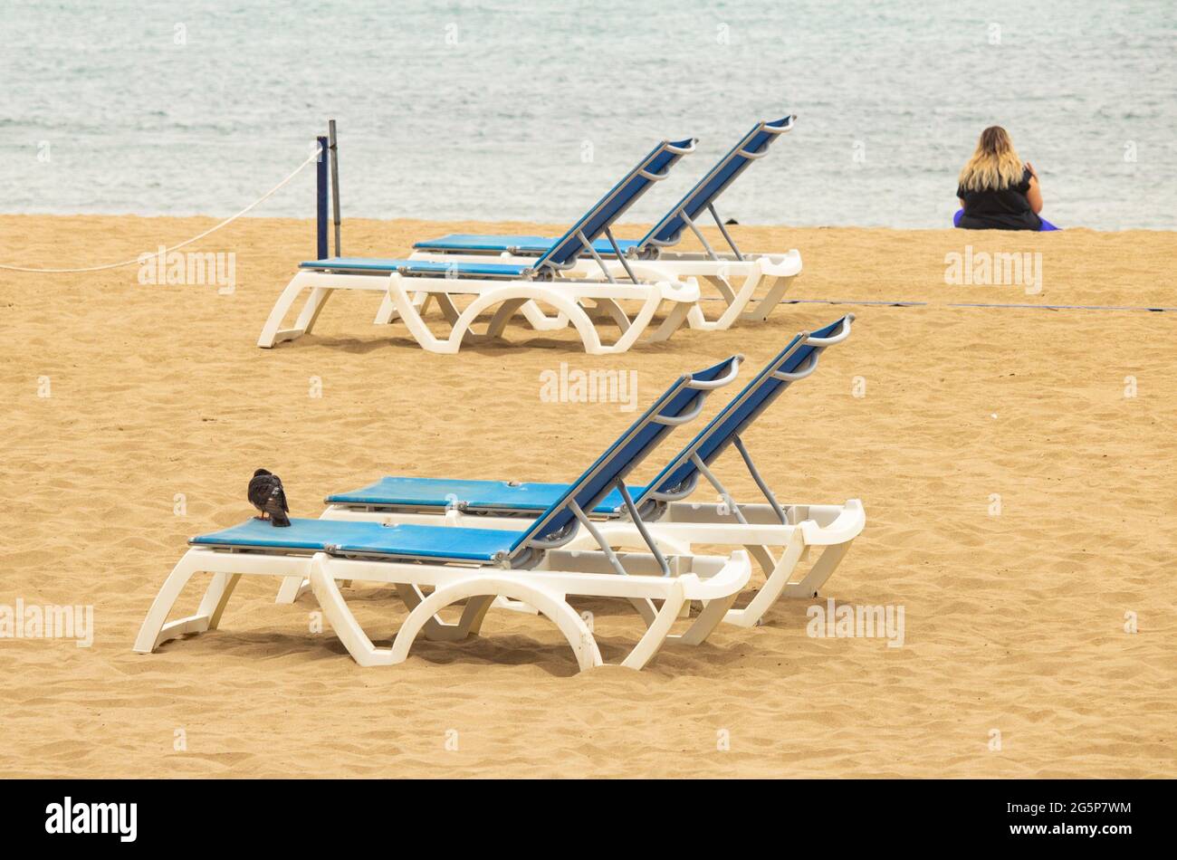 Las Palmas, Gran Canaria, Canary Islands, Spain. 29th June, 2021. Pigeons on sunloungers on a quiet city beach in Las Palmas on Gran Canaria. The Canary Islands remain on the 'Amber list' for British holidaymakers. Credit: Alan Dawson/Alamy Live News. Stock Photo