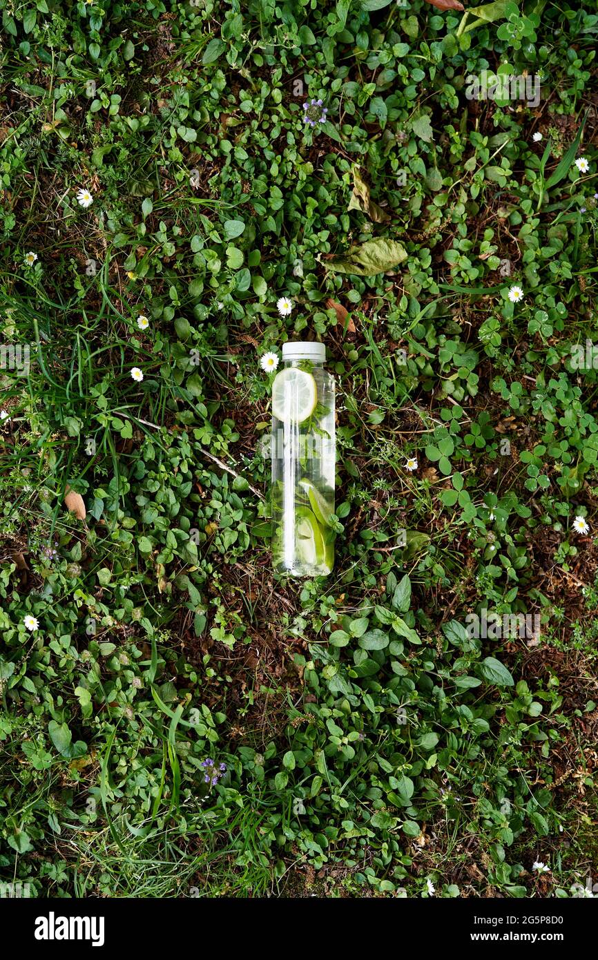 Bottle of water lies on the green grass among the wildflowers Stock ...