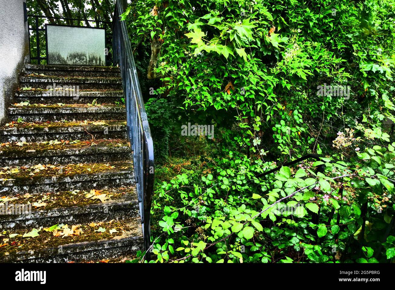 Stairs invaded by lush vegetation, Conceptual photography, France Stock Photo