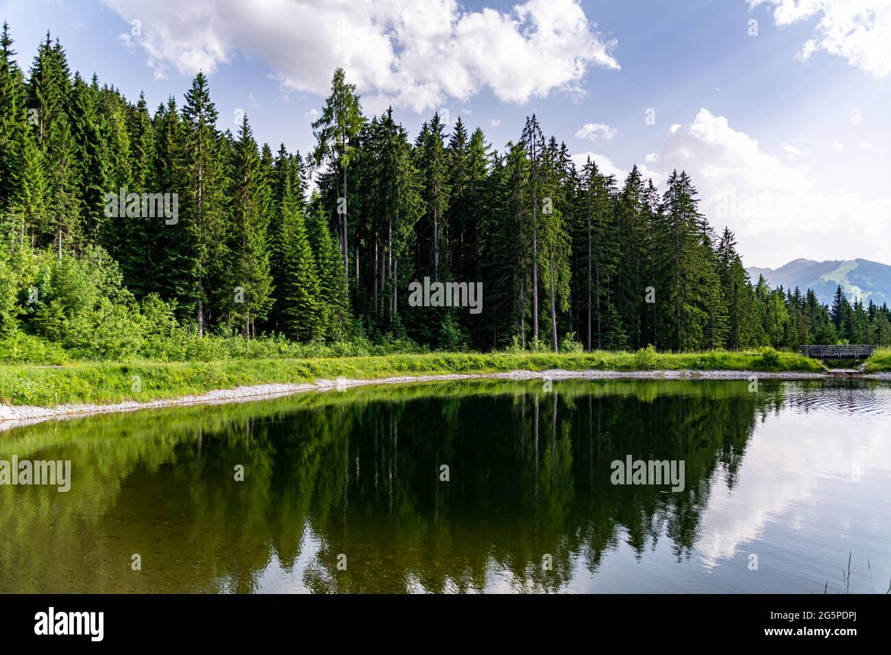 Small alpine lake reflecting the surrounding trees and green grass in a mountain landscape Stock Photo